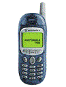Best available price of Motorola T190 in Switzerland
