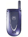 Best available price of Motorola V66i in Switzerland